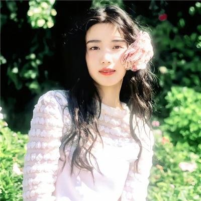 假元首秘纪
